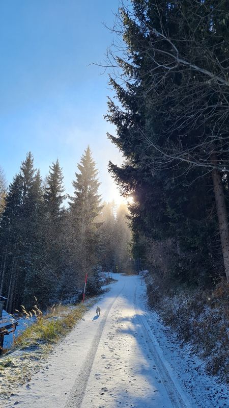Schwarzsee & Schwarzseehütte: Big Loop