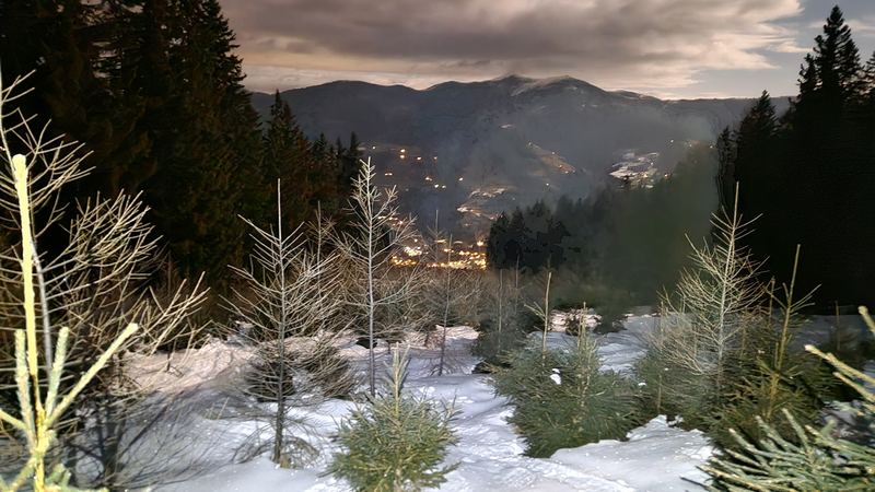 Schwarzsee Snowshoe Loop