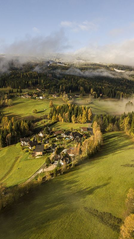 Verditz Forest & Meadow Loop from the Doorstep