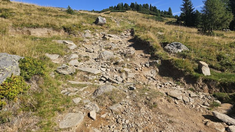 Großer Rosennock (2,440 m) - Loop via the Erlacher Bockhütte
