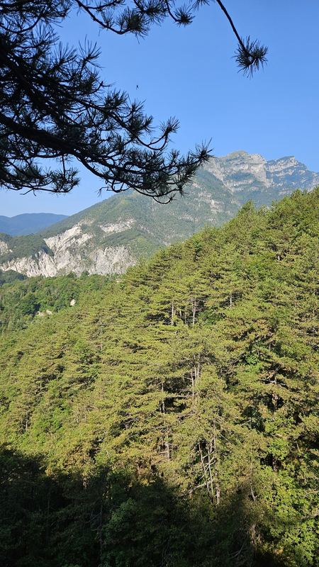 The Abandoned Villages of Moggio (Moggessa) - One-Way Hike